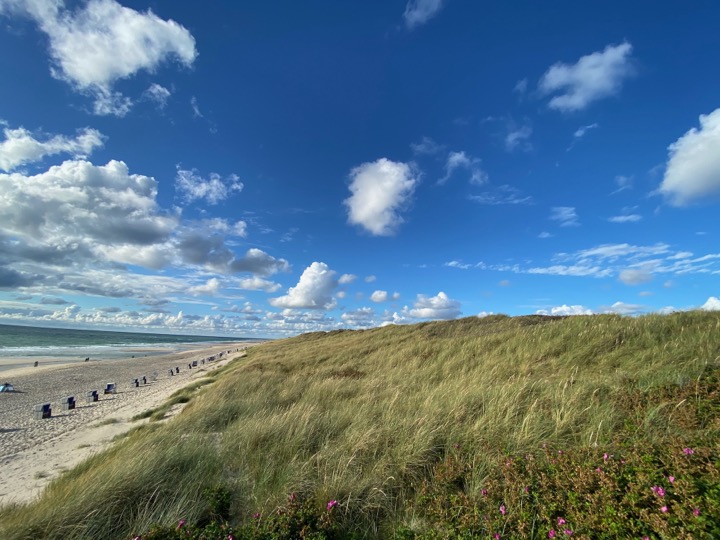 Entlang der Düne